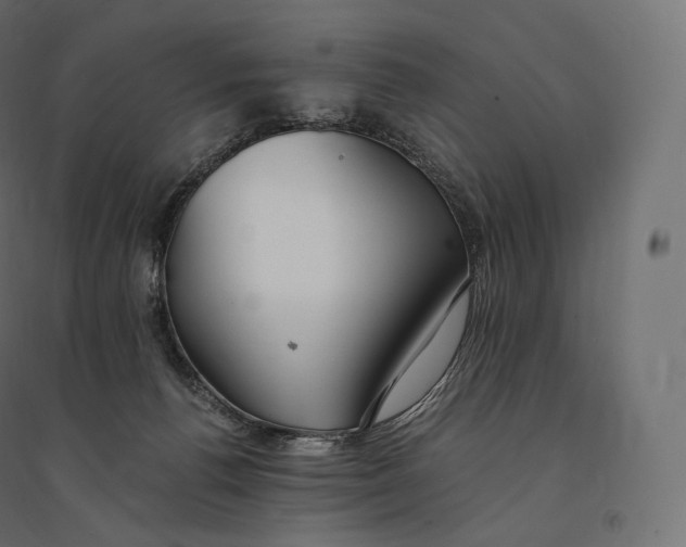 X0000094360176200711241945