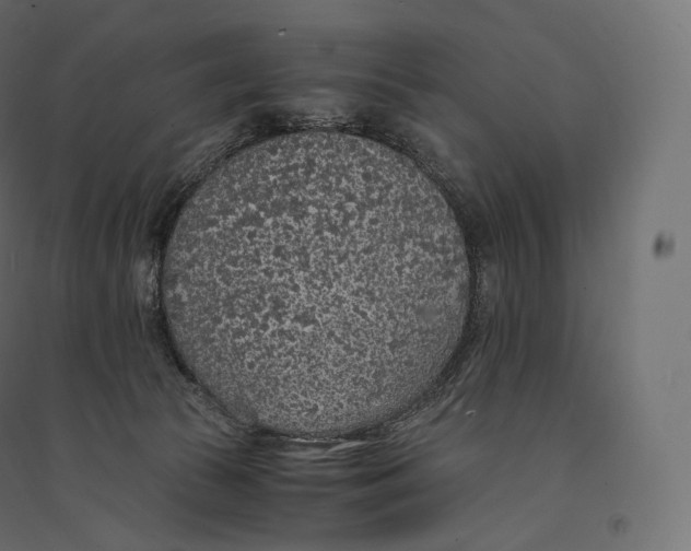 X0000094360177200711241945