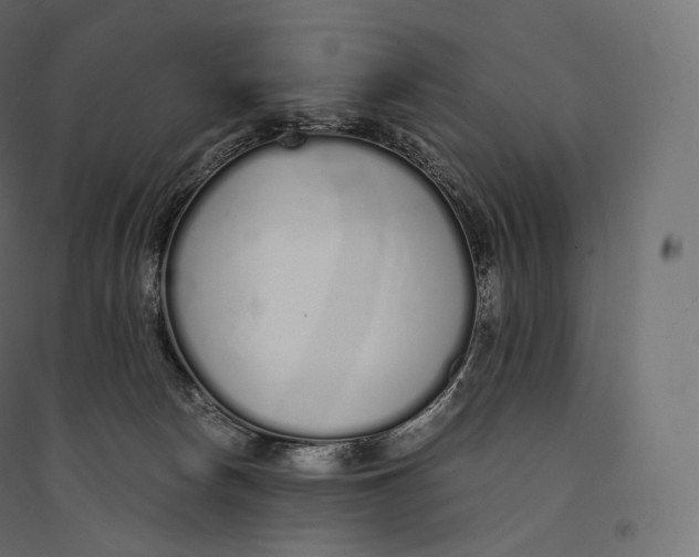 X0000094360178200711241945