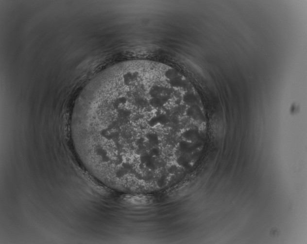 X0000094360181200711241945