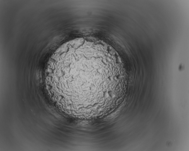 X0000094360182200711241945
