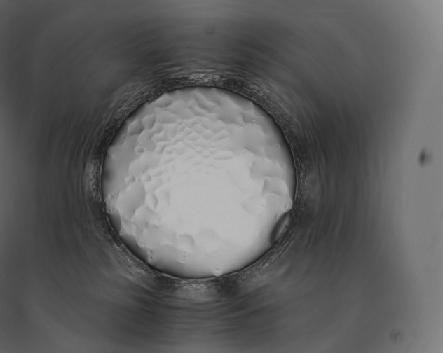 X0000094360185200711241945