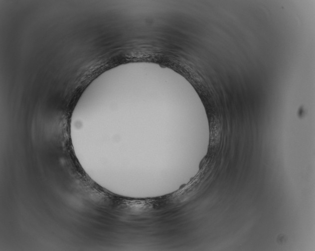 X0000094360187200711241945