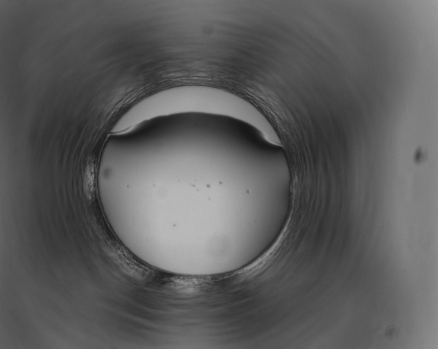 X0000094360190200711241945