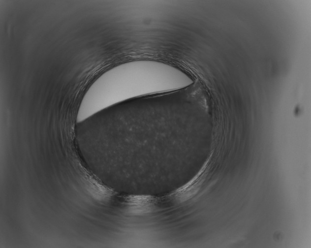 X0000094360192200711241945