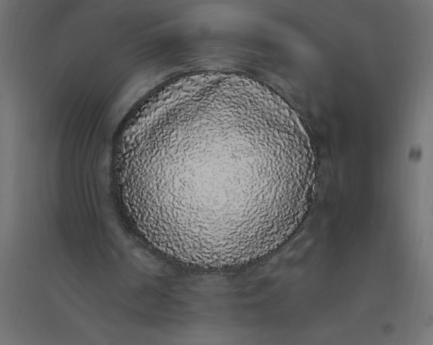 X0000094360194200711241944