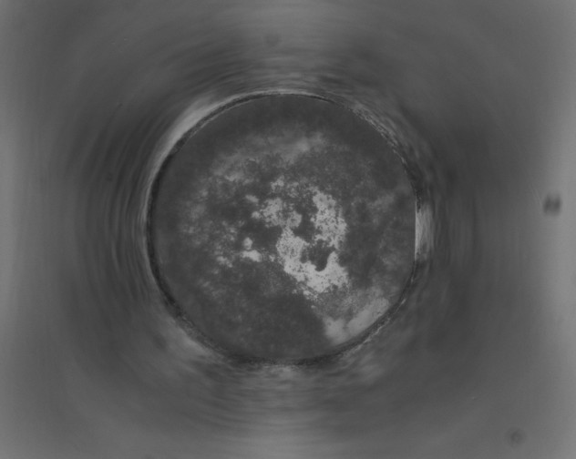 X0000094360195200711241944