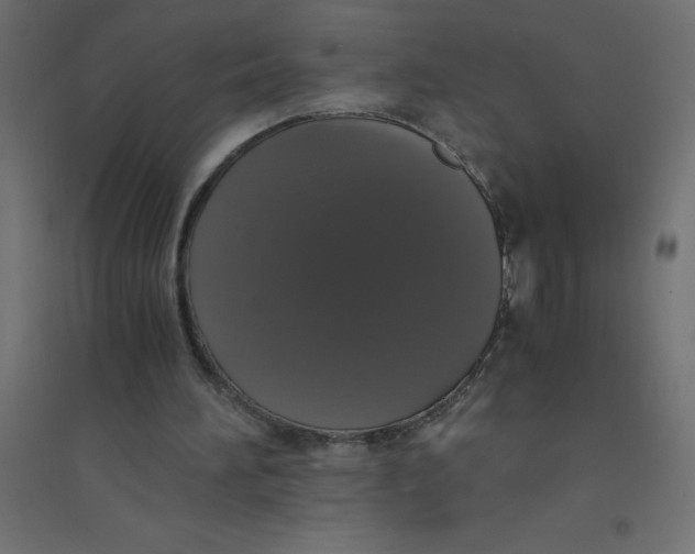 X0000094360196200711241944