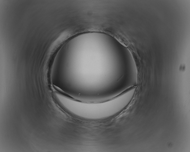 X0000094360197200711241944