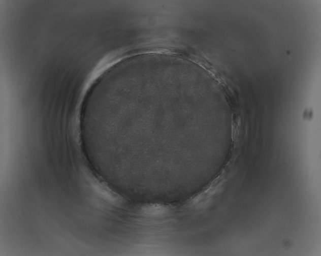 X0000094360198200711241944