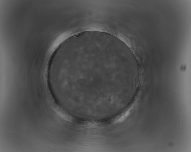 X0000094360199200711241944