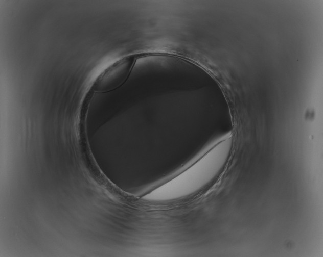 X0000094360200200711241944