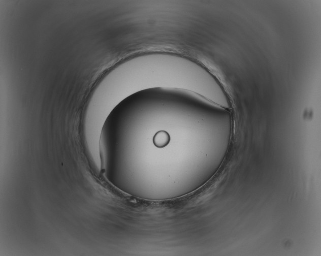 X0000094360201200711241944