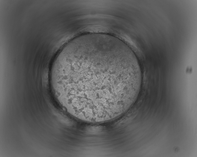 X0000094360202200711241944