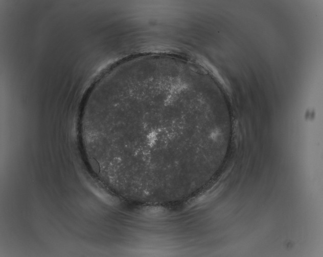 X0000094360203200711241944