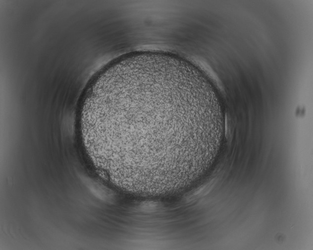 X0000094360204200711241944