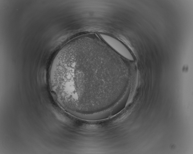 X0000094360205200711241944