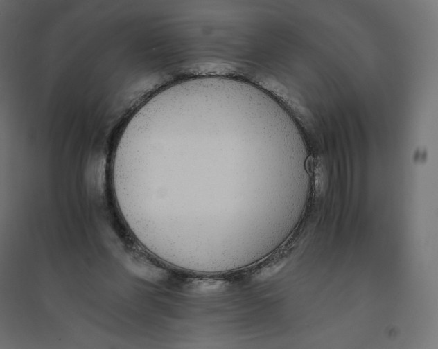 X0000094360206200711241944