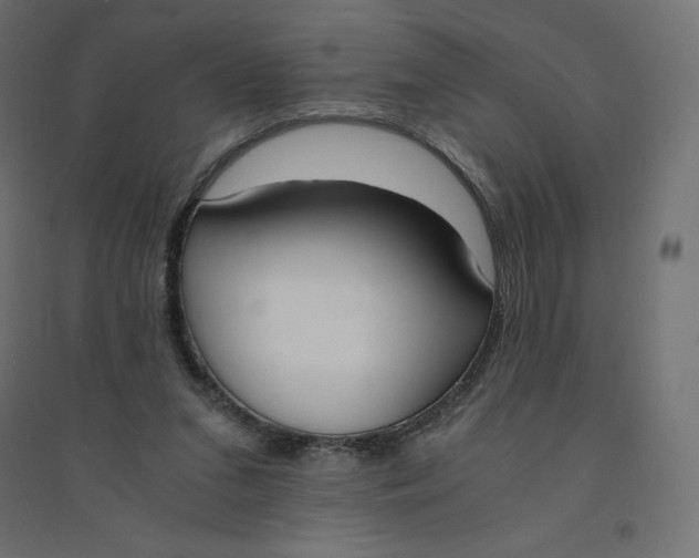 X0000094360207200711241944