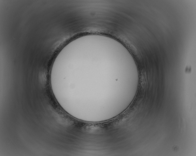 X0000094360208200711241944
