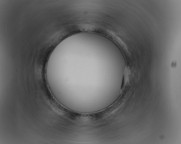 X0000094360209200711241944