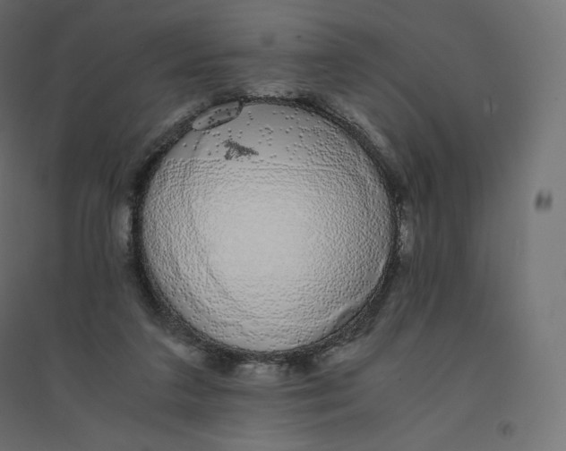 X0000094360211200711241944