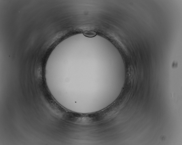 X0000094360212200711241944