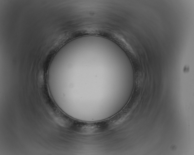 X0000094360213200711241944