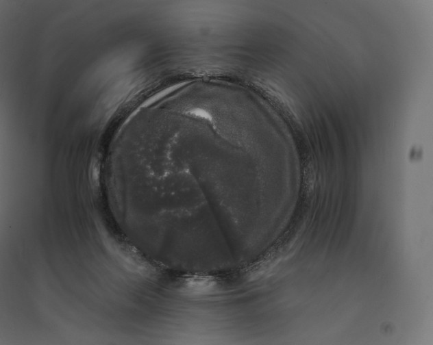 X0000094360214200711241944