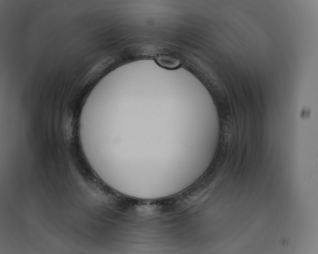 X0000094360216200711241944