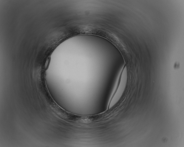 X0000094360217200711241944