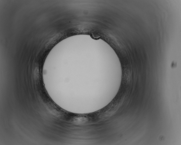 X0000094360220200711241944