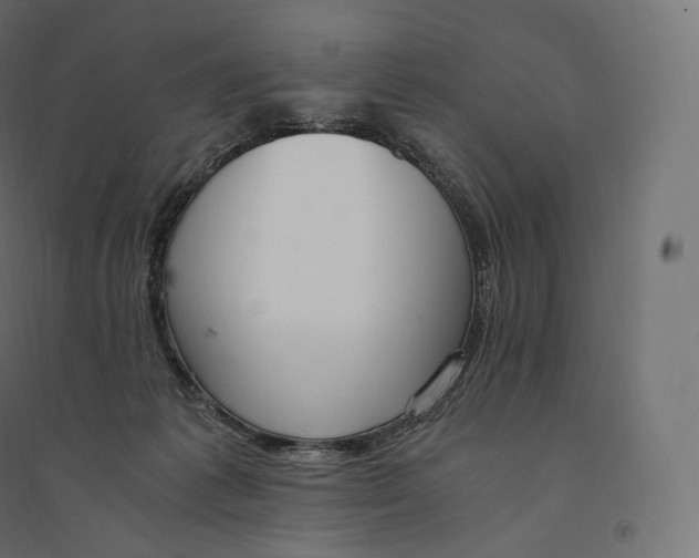 X0000094360221200711241944