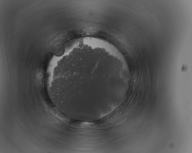 X0000094360222200711241944