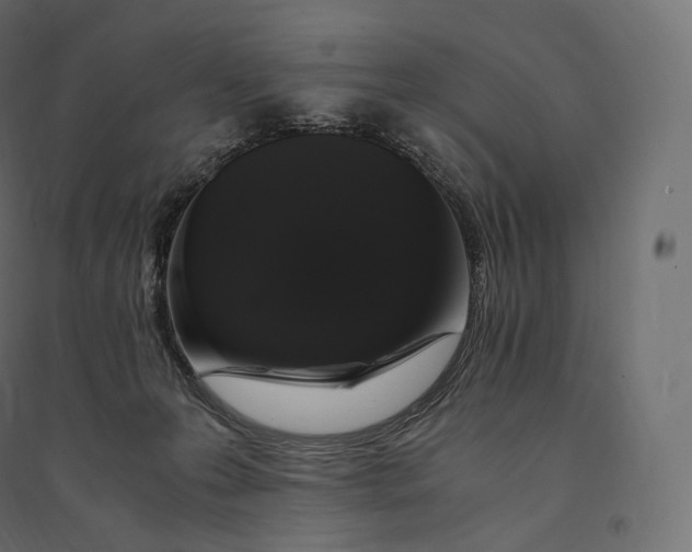 X0000094360223200711241944