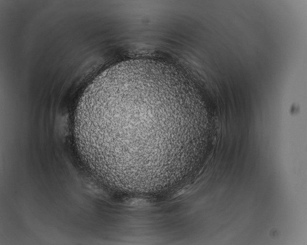X0000094360224200711241944