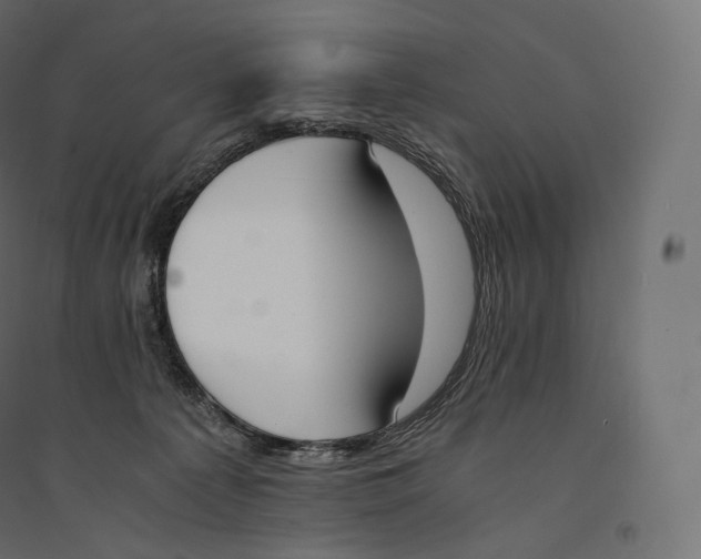 X0000094360225200711241944