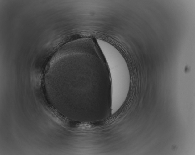 X0000094360227200711241944