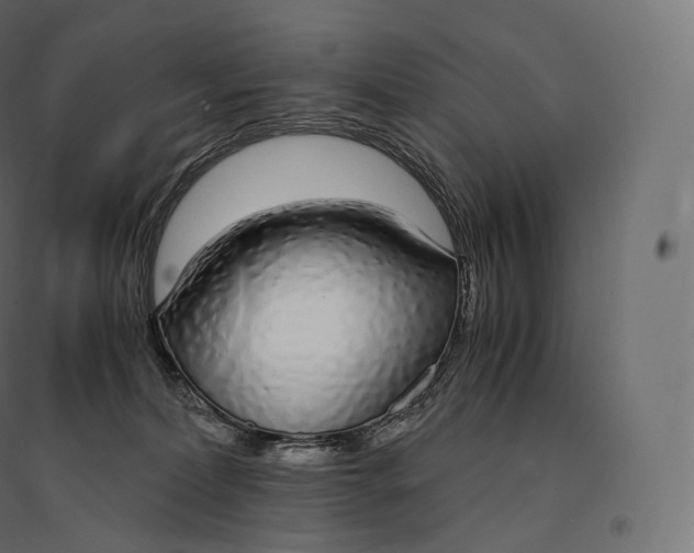 X0000094360228200711241944
