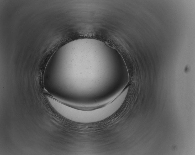 X0000094360229200711241944