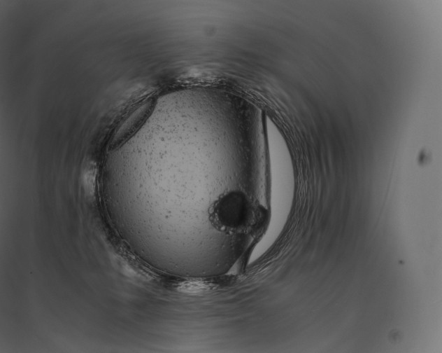 X0000094360231200711241944