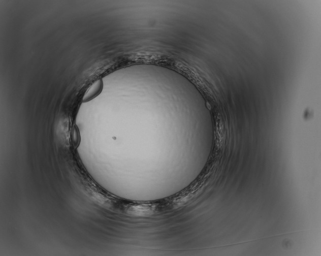 X0000094360232200711241944