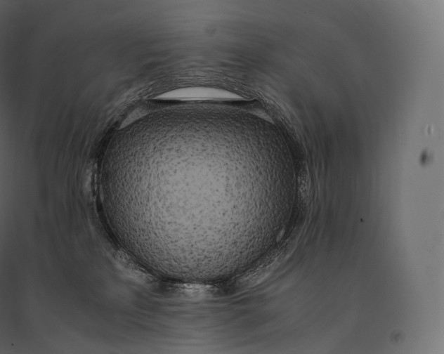 X0000094360233200711241944