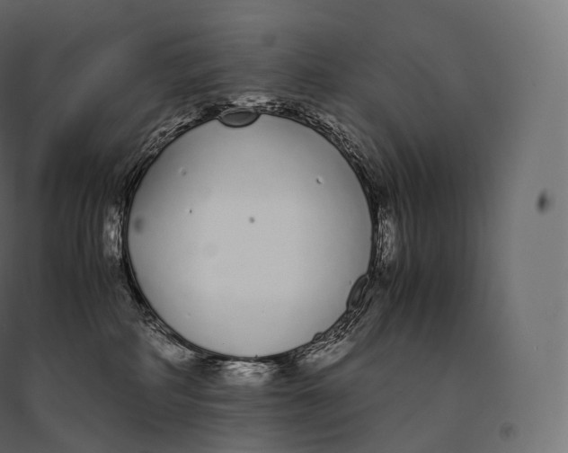X0000094360234200711241944