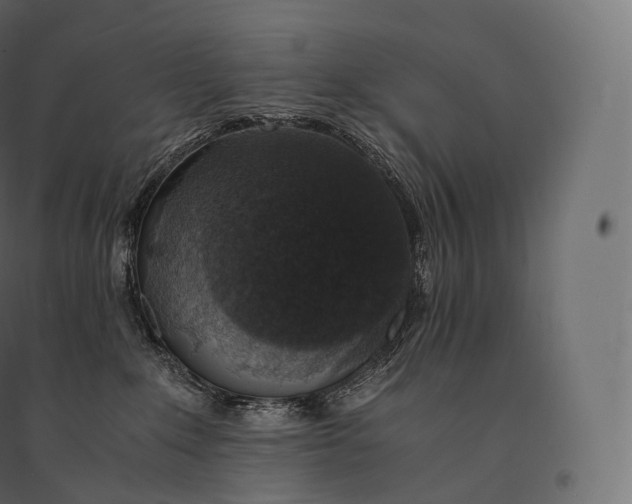 X0000094360235200711241944