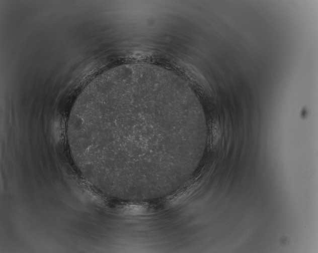 X0000094360236200711241944
