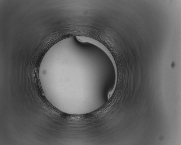 X0000094360237200711241944