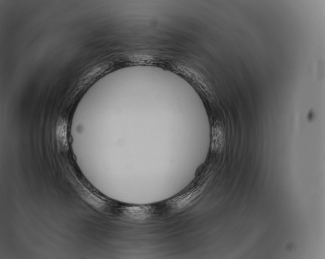 X0000094360238200711241944