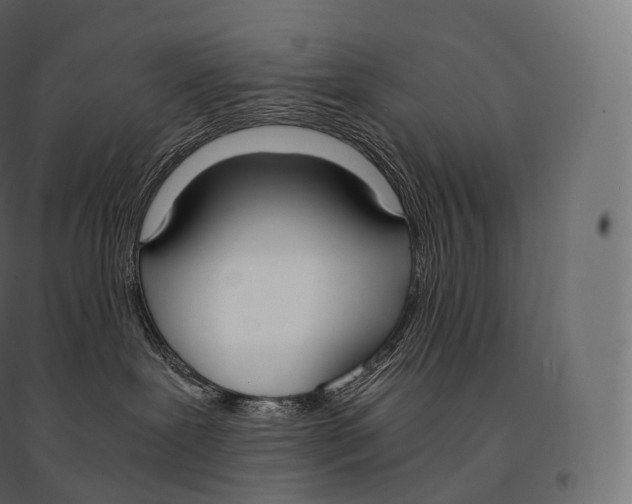 X0000094360239200711241944