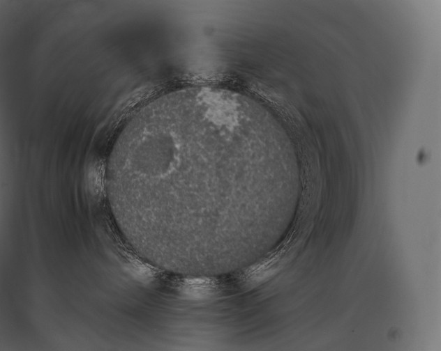 X0000094360240200711241944